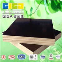 15mm waterproof plywood/construction plywood/brown dynea film faced plywood