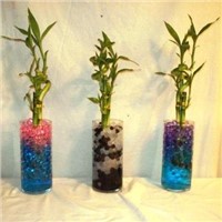 Crystal soil beads for plants, non-fade and non-toxic