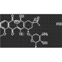 Daunorubicin Hydrochloride ( CAS:23541-50-6 )