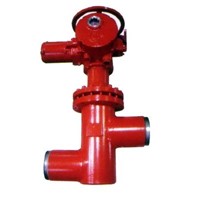 High Pressure Heater Valve