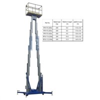 Insulating double mast type lift platform
