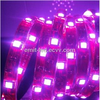 LED UV Wavelength Strip Light