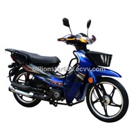 Motorcycles CUBs Model BSX110-T
