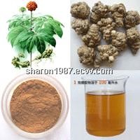 Panax Notoginseng Root Extract