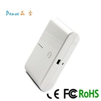 Shenzhen Portable Dual USB Power Bank 12000 for iPhone Samsung Htc Blackberry Ps138