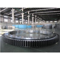 supply large diameter slewing bearing /custom bearing
