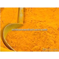 Turmeric Extract  Curcuminoids 95%   HPLC