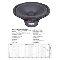 10inch foam-edge low frequency loudspeaker
