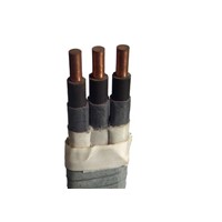 Electrical Submersible Pump Cable ESP cable