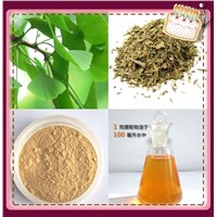 Ginkgoflavoglycosides Terpene Lactones Flavonoids ginkgo biloba oil extract