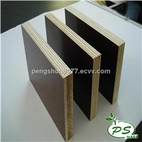 Phenolic film faced plywood for construction