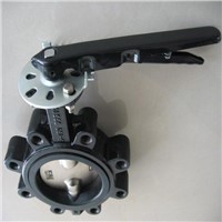 Soft Seat Double Axis Butterfly Valve in Lug Type