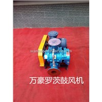 Waste water treatment roots blower