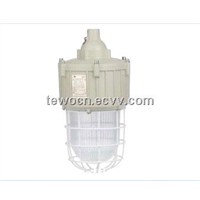 explosion proof light,Integral structure explosion proof light with built-in ballast