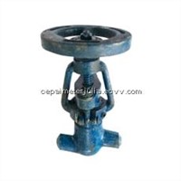 globe valve (power station valve)