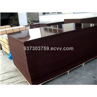 lower prices film faced plywood