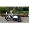 Electric Handicapped Scooter/Electric Patrol Scooter/Electric Crusier Scooter