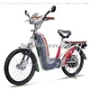 Heavy-Duty Electric Bicycle/Heavy-Duty Electric Bike/Cargo Electric Bicycle