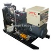 CE approved 50KW NG /biogas generator