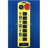 Industrial Radio Remote Control (CUPID Q100)