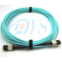 40G OM3 MPO- MTP Fiber Optic Patch Cord