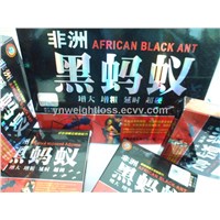 African Black Ant Male Sexual Enhancement
