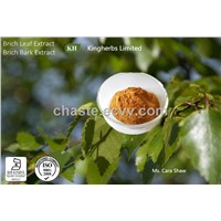 Birch Leaf Extract 10:1, 20:1, Flavonoides 5% by UV, Hyperoside