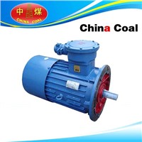 DSB Series Flame-proof Three-phase Asynchronous Motor