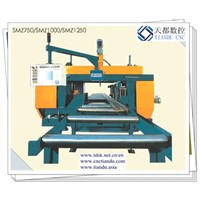 SMZ750/SMZ1000/SMZ1250 CNC 3-D Drilling Machine