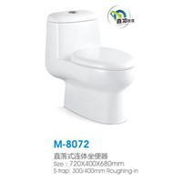 Washdown one-piece toilet with fittings
