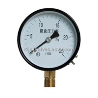 YE serise capsule pressure gauge(KCCV)
