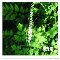 factory price Natural powdered black cohosh extract