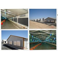 low price automatic control steel chicken shed