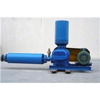 positive displacement blower