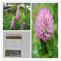 Pure Natural Red Clover P.E. Isoflavones