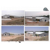 steel frame poultry chicken shed