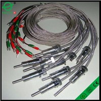 thermocouple with extension wire