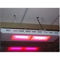 600W LED Grow Light