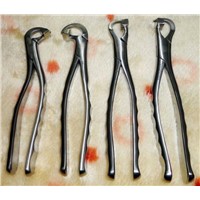 Physics forceps Extraction forceps extracting forceps