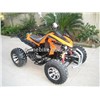 3000W/4000W Electric ATV/Electric Sports ATV/Electric Quad Bike