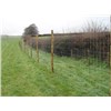 Field Fence - High Tensile Wire & Low Carbon Steel