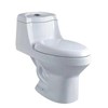Sighonic ceramic toilet with water box and toilet cover.