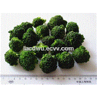 Frozen foods frozen vegetables frozen Broccoli supply from china