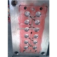 PPR end cap pipes & fittings mould injection molding
