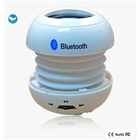 2014 hamberg Bluetooth speaker