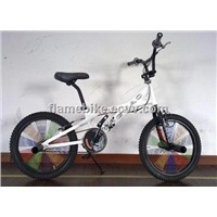 BMX Bike/Freestyle Bike/BMX Bicycle/Freestyle Bicycle