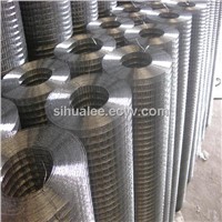 Best quality electro galvanized welded wire mesh from Anping factory