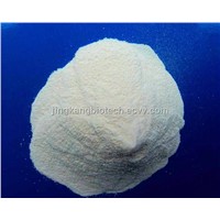 Chondroitin Sulfate Sodium CAS 9082-07-9