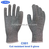 Cut 5 gloves for food processing