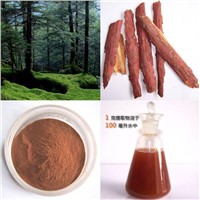 High quality Pine Bark Extract, Procyanidin 95%
